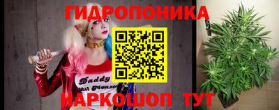 хмурый Новозыбков