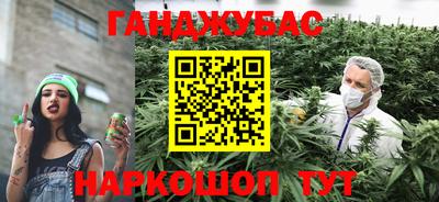 индика Нальчик