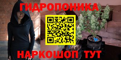 индика Нальчик