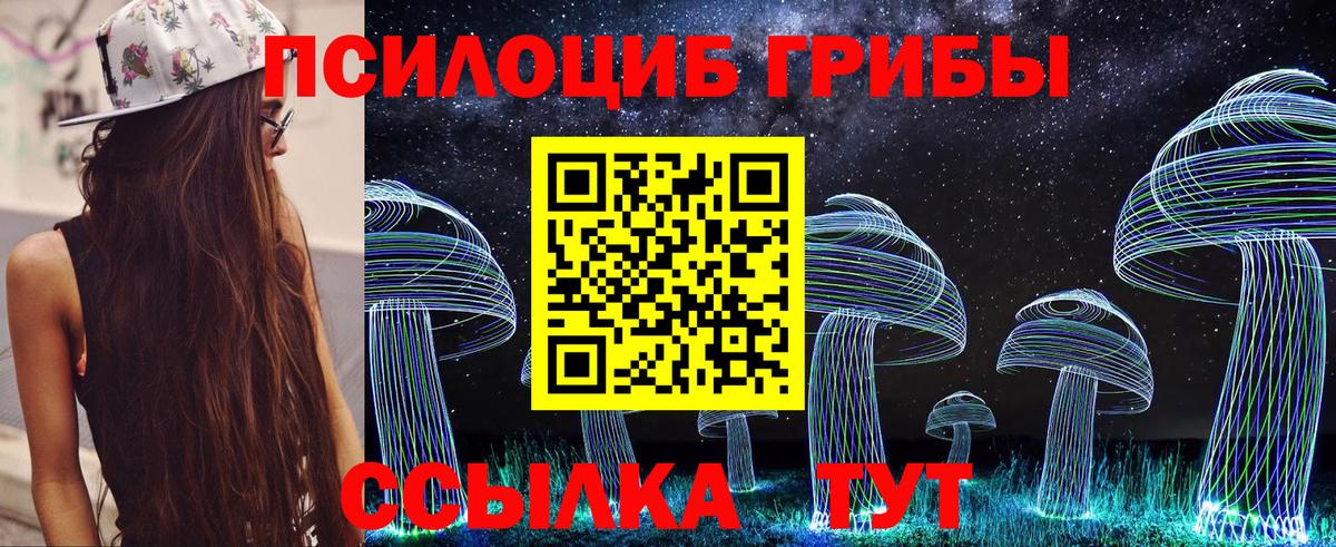 Славгород  Галлюциногенные грибы Psilocybine cubensis  закладки  Вход с VPN 